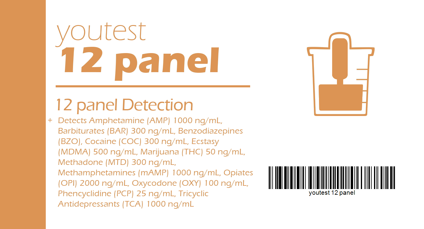 12 Panel Test Strips